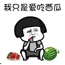 吃一口娱乐瓜,一嘴瓜料，带你领略明星幕后故事